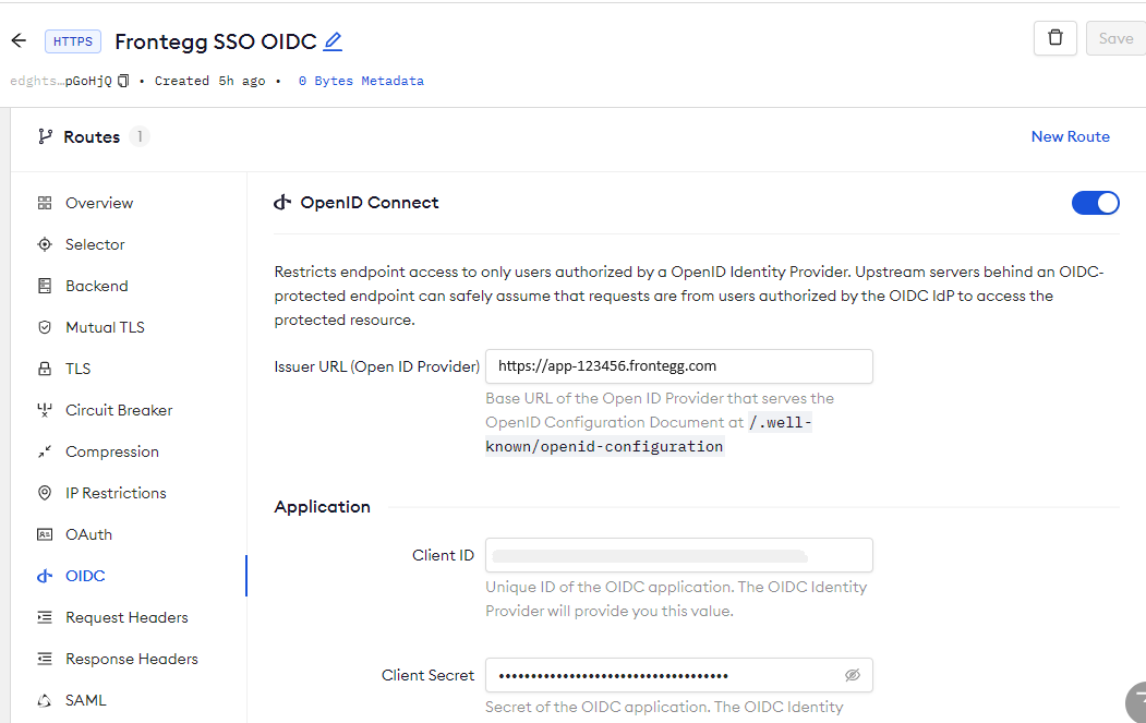 Frontegg config in ngrok